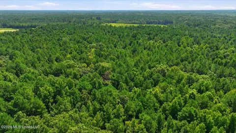 077 Potluck Rd, Canton, MS 39046 photo 12