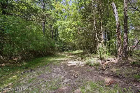 077 Potluck Rd, Canton, MS 39046 photo 3