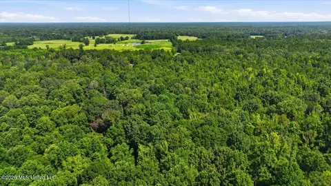 077 Potluck Rd, Canton, MS 39046 photo 15