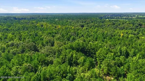 077 Potluck Rd, Canton, MS 39046 photo 14
