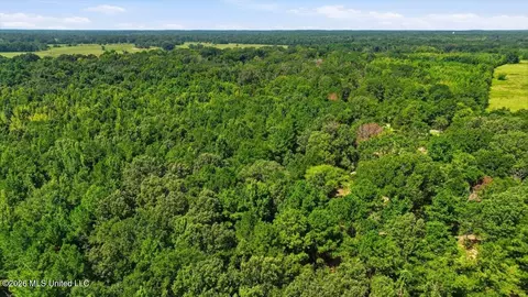 077 Potluck Rd, Canton, MS 39046 photo 13
