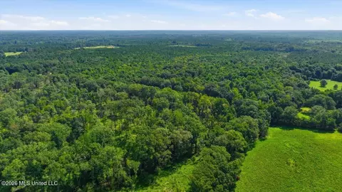 077 Potluck Rd, Canton, MS 39046 photo 9