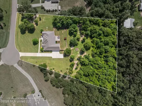 View/Area - 509 Quinlan Ct, Brandon, MS 39047 photo 4 of 4
