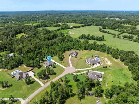 View/Area - 509 Quinlan Ct, Brandon, MS 39047 photo 3 of 4
