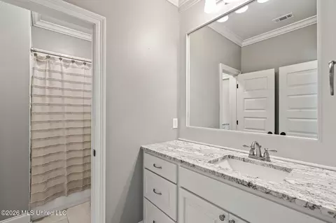 Bath - 509 Quinlan Ct, Brandon, MS 39047 photo 6 of 6
