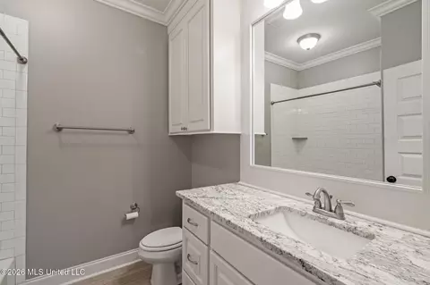 Bath - 509 Quinlan Ct, Brandon, MS 39047 photo 5 of 6