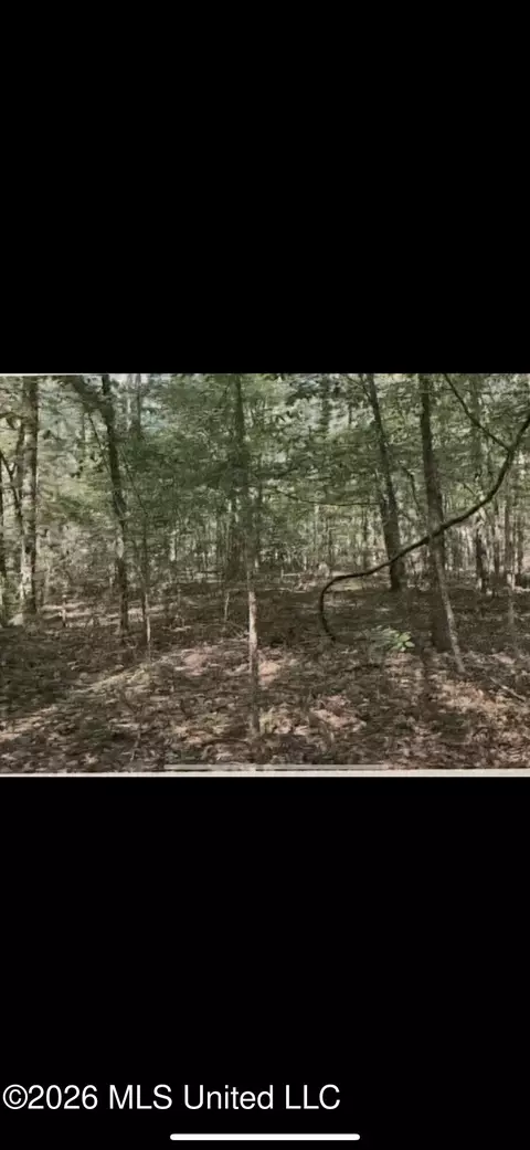 Stigler Rosa Drive, Florence, MS 39073 photo 2