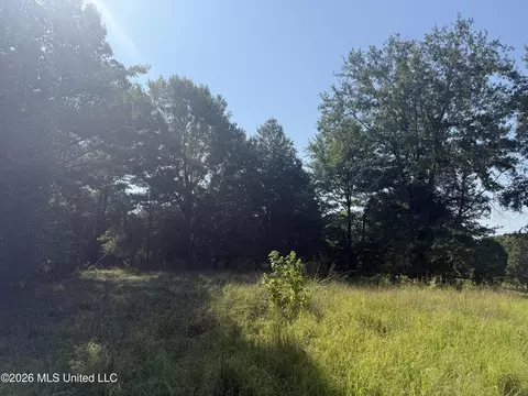 Joe Hall Road, Flora, MS 39071 photo 7