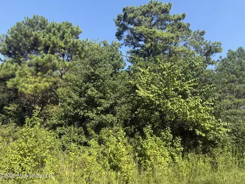 Joe Hall Road, Flora, MS 39071 photo 5