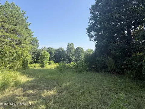 Joe Hall Road, Flora, MS 39071 photo 4