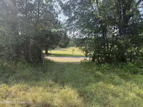 Joe Hall Road, Flora, MS 39071 photo 2
