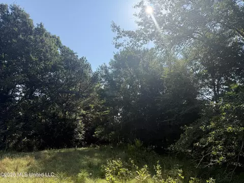 Joe Hall Road, Flora, MS 39071 photo 6