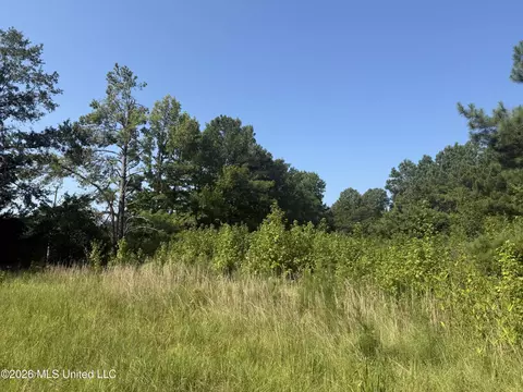 Joe Hall Road, Flora, MS 39071 photo 8