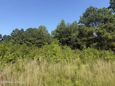 Joe Hall Road, Flora, MS 39071 photo 3