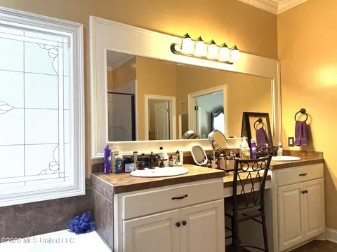 Bath - 112 Elizabeth Dr, Brandon, MS 39042 photo 1 of 4