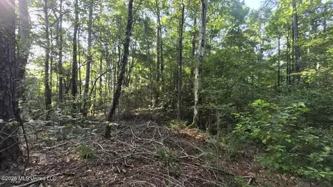 Stump Road, Gloster, MS 39638 photo 10