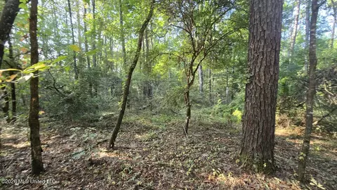 Stump Road, Gloster, MS 39638