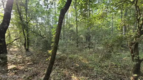 Stump Road, Gloster, MS 39638 photo 3