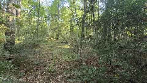 Stump Road, Gloster, MS 39638 photo 12
