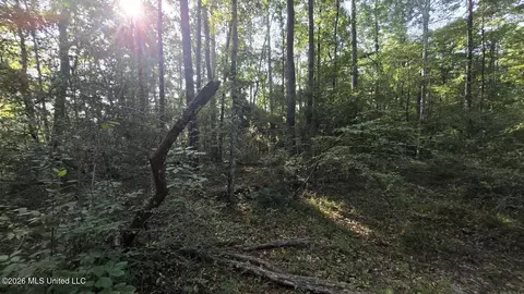 Stump Road, Gloster, MS 39638 photo 6