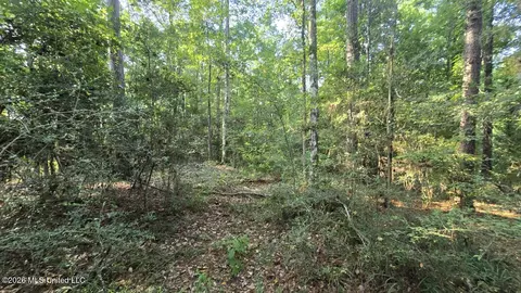 Stump Road, Gloster, MS 39638 photo 8