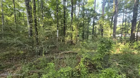 Stump Road, Gloster, MS 39638 photo 7