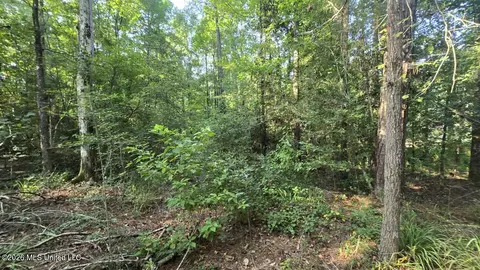 Stump Road, Gloster, MS 39638 photo 11