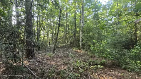 Stump Road, Gloster, MS 39638 photo 9