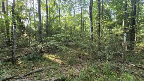 Stump Road, Gloster, MS 39638 photo 4