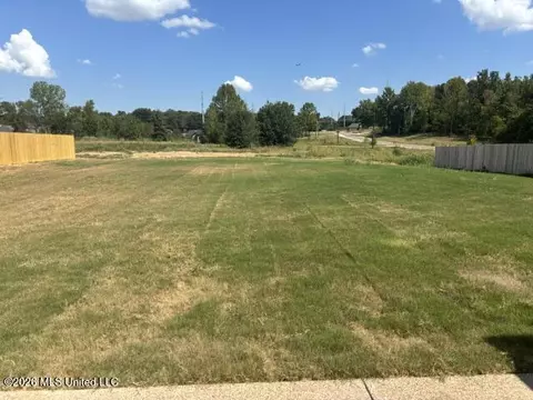 Exterior - 946 Buttermilk Dr, Nesbit, MS 38651 photo 3 of 3