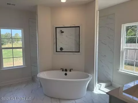 Bath - 946 Buttermilk Dr, Nesbit, MS 38651 photo 2 of 5