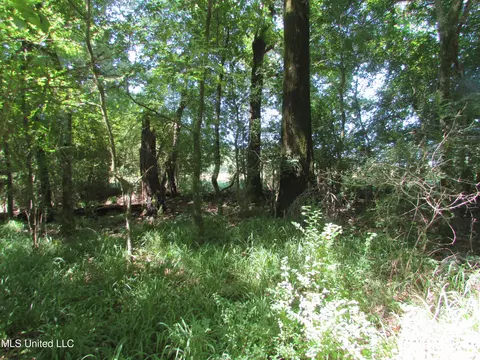Bend Road, Vaughan, MS 39179 photo 18
