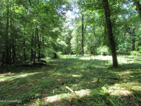 Bend Road, Vaughan, MS 39179 photo 9