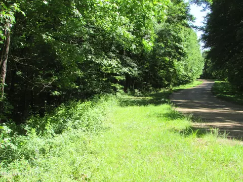 Bend Road, Vaughan, MS 39179 photo 14