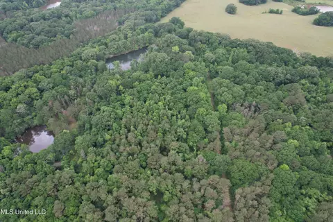 Bend Road, Vaughan, MS 39179 photo 3
