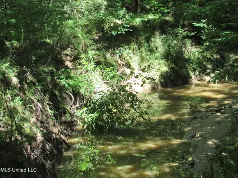 Bend Road, Vaughan, MS 39179 photo 13
