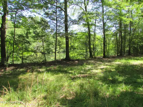 Bend Road, Vaughan, MS 39179 photo 24