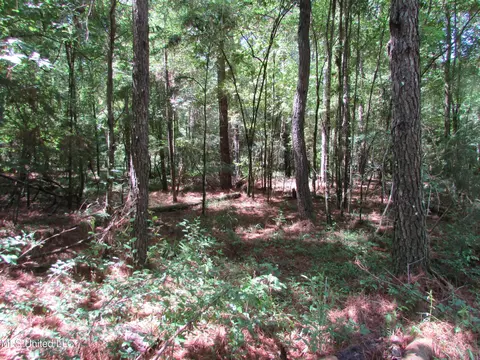 Bend Road, Vaughan, MS 39179 photo 17