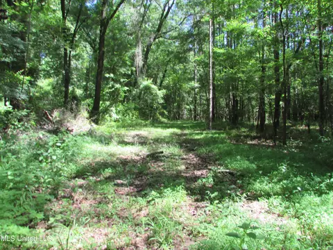 Bend Road, Vaughan, MS 39179 photo 6