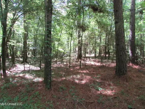 Bend Road, Vaughan, MS 39179 photo 16