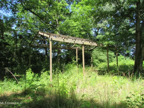 Bend Road, Vaughan, MS 39179 photo 22
