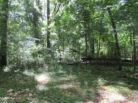 Bend Road, Vaughan, MS 39179 photo 10