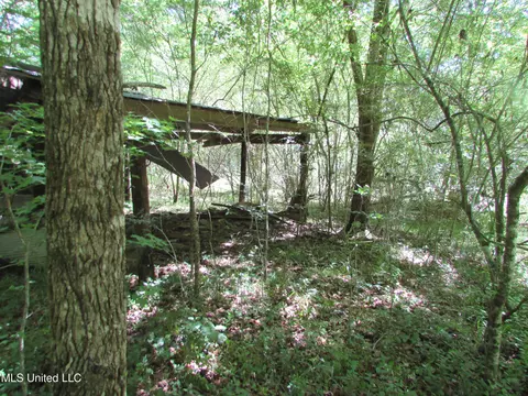Bend Road, Vaughan, MS 39179 photo 8