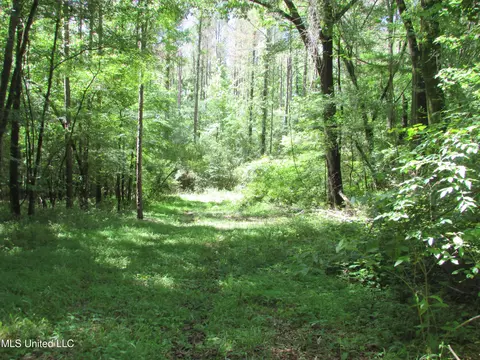 Bend Road, Vaughan, MS 39179 photo 12
