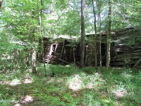 Bend Road, Vaughan, MS 39179 photo 7