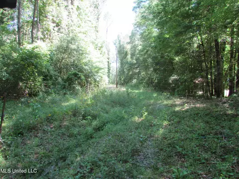 Bend Road, Vaughan, MS 39179 photo 5