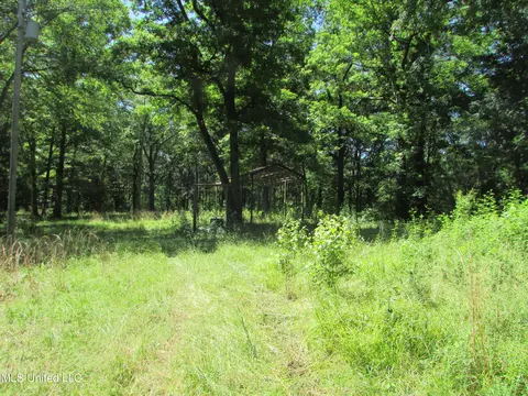 Bend Road, Vaughan, MS 39179 photo 20