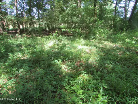 Bend Road, Vaughan, MS 39179 photo 25