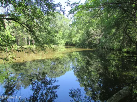 Bend Road, Vaughan, MS 39179 photo 26
