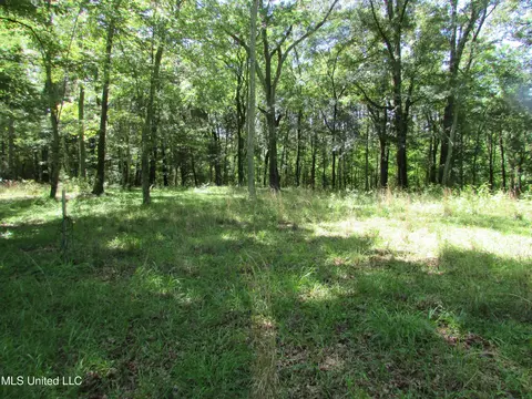 Bend Road, Vaughan, MS 39179 photo 23